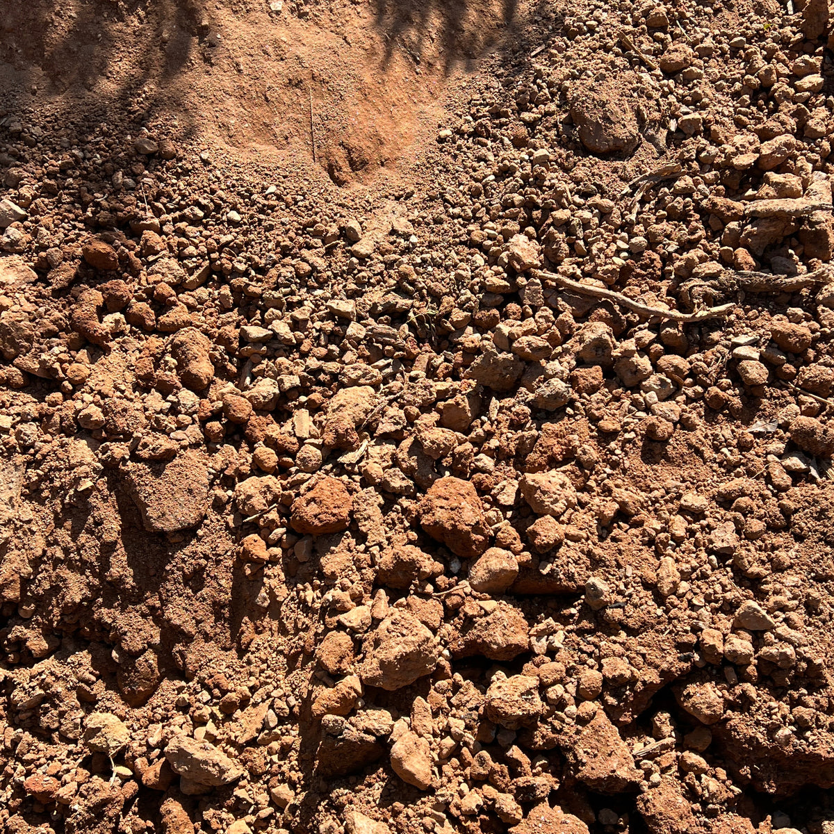 Fill Dirt