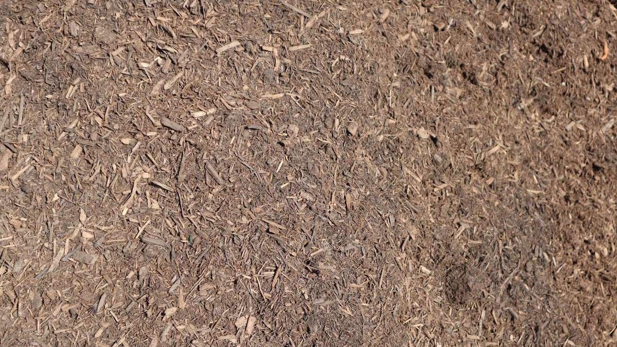 Top Soil