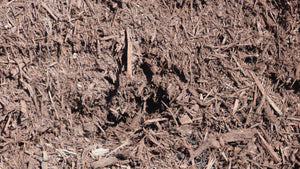 Brown Mulch