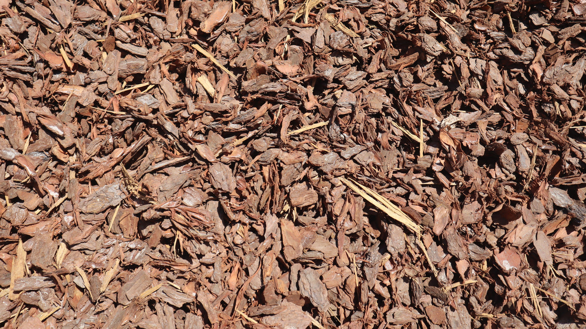 Pine Bark Nuggets