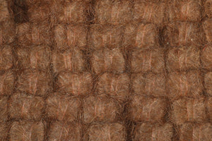 Pine Straw